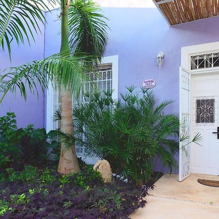 Willa Casa Violeta Mérida Zewnętrze zdjęcie