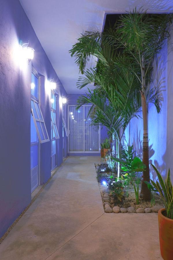Willa Casa Violeta Mérida Zewnętrze zdjęcie